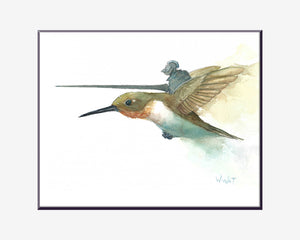 Hummingbird Joust Art Print